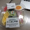 Seven Eleven Shinagawa Eki Konanguchi Ten - ミニ冷やし中華