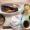 Nara Kencho Shokudo - 鯖の生姜煮の定食