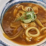 Kineya Ichikawa Nikkekorutonpuraza Ten - カレーうどん、アップ