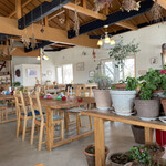 Cafe And Rest Harton Tree - 