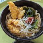 Chiba Shi Dobutsu Koen Mori no Restaurant - とり天梅うどん¥750-