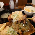 Ganso Yakitori Kushi Hatchin Higashinihonbashiten - やきとり塩(22-02)