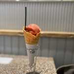 gelato pique cafe bio concept Omotesando Hiruzu Ten - 