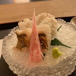 料理旅宿 井筒安 - 鱧づくし懐石　お造り