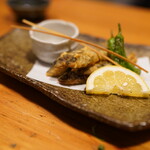 Japanese cuisine Satonoya Maego Ten - 稚鮎