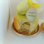 MAISON DE RENNES - ピアナ断面