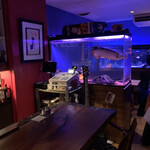 Bar fish - 店内