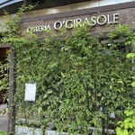 OSTERIA O’GIRASOLE - 