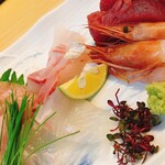 Sacchan Sushi - 