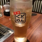 Donguri Shijoomiya Ten - 南高梅酒　ソーダ割り