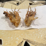 Edomae Tempura Ten'yuu - 