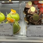 MAISON DE RENNES - ショーケース