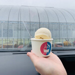 Yu Gelato - 