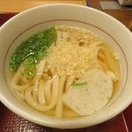 なか卯 - 冷やしはいからうどん(小)（アップ）