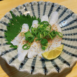 Sacchan Sushi - 