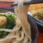 手打ちうどん 田じま - 