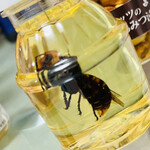 Fujii Yohojo Bees Farm - 