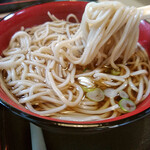 Seian Soba Dokoro Sohonke - 