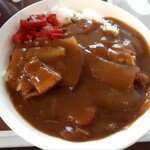 パストラール - 家庭のカレーにさも似たり‥