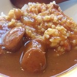 souple - カレー。スプーンは木製。