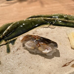 Sengawa Zushi - 