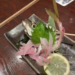 Seafood Izakaya Amon Hitachi Ekimae Ten - 