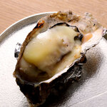 Hokkaido Oysters Robiola from Shiranuka Dairy (1 piece)