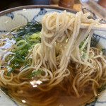 Wakana Soba Hankyu Ishibashi Ten - 