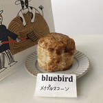 bluebird - 