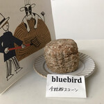 bluebird - 