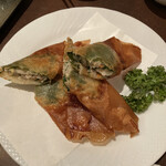 The Niku Gyoza Sichuan Chubo Oofuna Honten - 