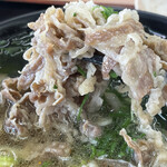 Tamo Ya Ohtsu Bypass Ten - 肉うどんの肉