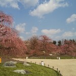 焼肉 一升びん - 鈴鹿の森庭園