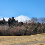 Starbucks Coffee Expasa Ashigara Service Area Uresen Ten - 