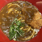 得得 - ジャワ風カレーうどん（３玉）（８８０円）とんかつトッピング