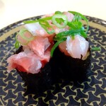 Hama Zushi Shizuokaic Ten - 