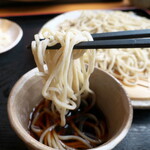 Soba Tetsu Hon Ten - 鰹の香りがしっかり感じられる辛汁。辛すぎず甘すぎず、個人的に好みの味