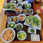 Pension Hanano Ya - このボリューム‼️山菜定食が¥1400は食べなきゃ損