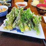 Pension Hanano Ya - 山菜定食の天然春山菜天ぷら盛り合わせ