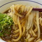 Naka U Sapporo Shiroishi Hondori Ten - 和風カレーうどんの麺