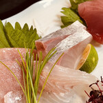 Sacchan Sushi - 