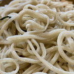 Soba Tetsu Hon Ten - 