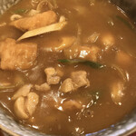 Sagami Komono Ten - カレーきしめん天ぷら定食：カレーきしめん