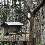 THE BIRD WATCHING CAFE - 