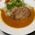 松屋 - ネギたっぷりスパイスカレーハンバーグ