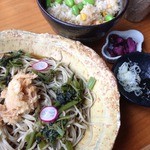 Teuchi Soba Gorou - 茎わさびの蕎麦