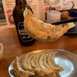 Gyoza Sakaba Ootaya - 焼餃子