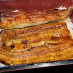 Unagi Tokiwa - 