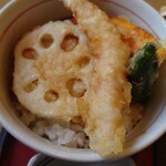 Sagami Komono Ten - 天ぷらミニ丼