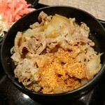 Yoshinoya Kawasaki Ekimae Ten - 牛皿